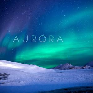 Aurora-Murder Song  立体声伴奏 （升4半音）