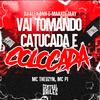 DJ Alex BNH - Vai Tomando Catucada e Colocada