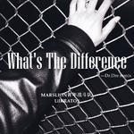 What's The Difference （Dr.Dre remix）专辑