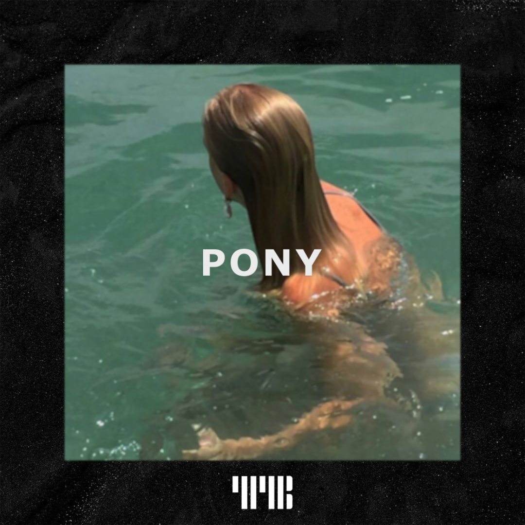 Pony