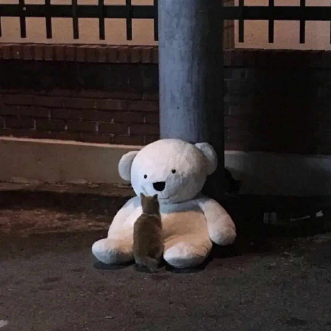 没走
