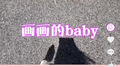 画画的Baby专辑