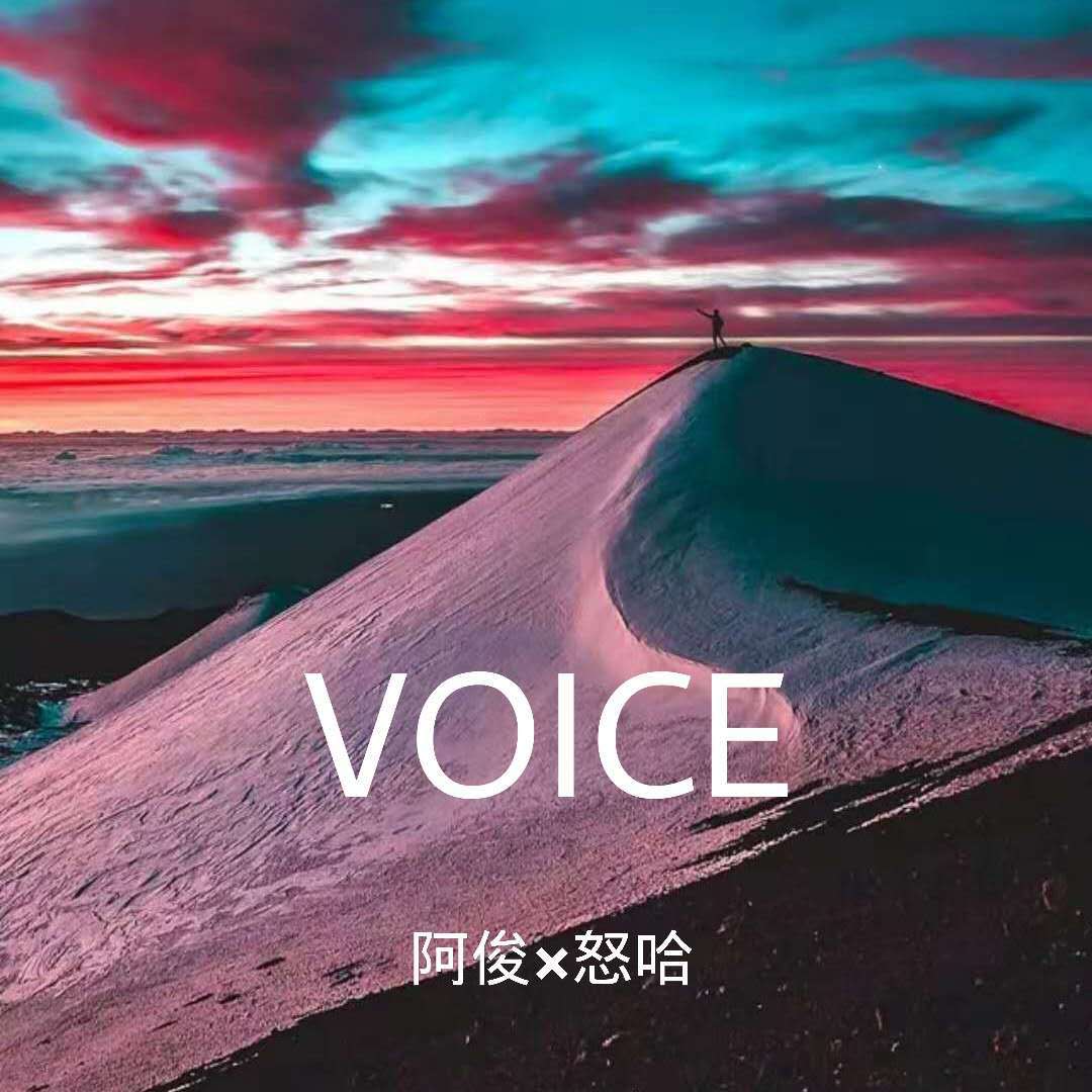 VOICE专辑