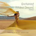 Enchanted & Wildest Dreams Mashup