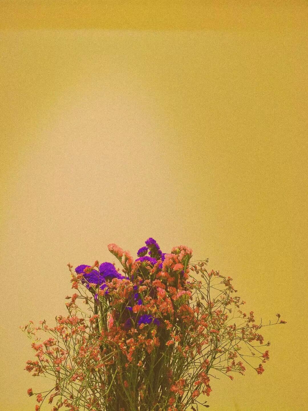 复古浪潮