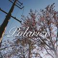 Polarize