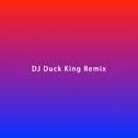 这是一次测试(DJDuck King Remix)专辑