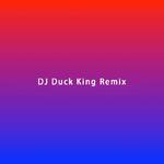 这是一次测试(DJDuck King Remix)专辑