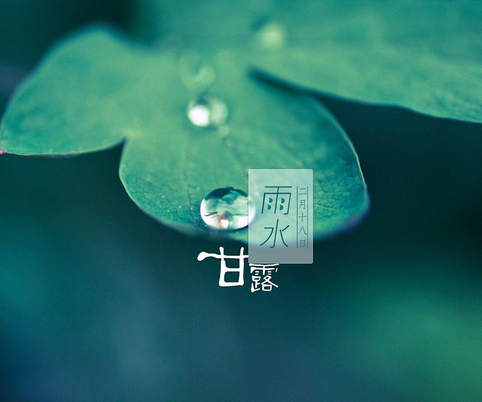 雨水