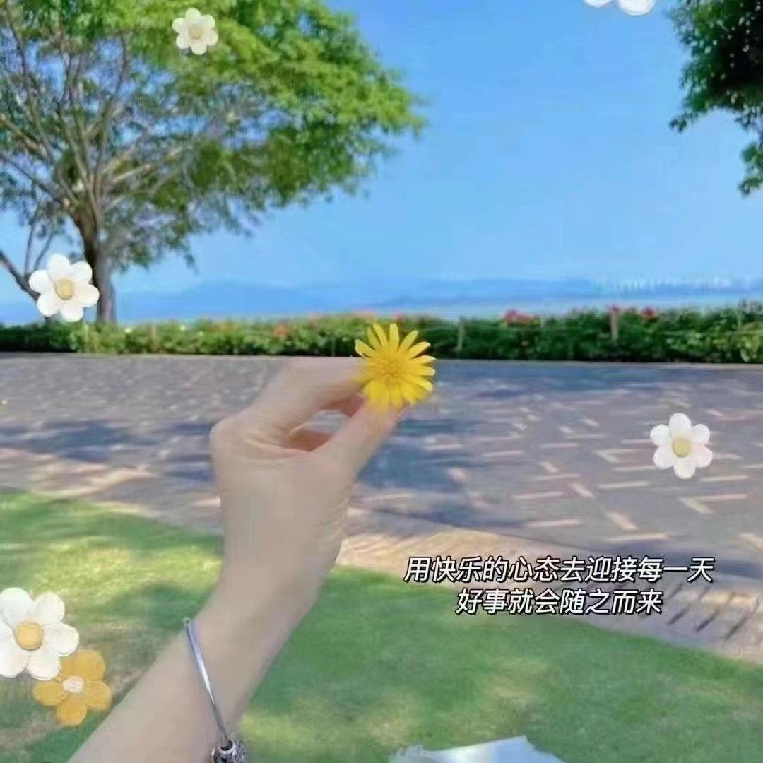 精选泰语歌曲评论999+♡