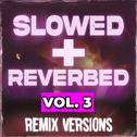 Slowed + Reverbed Remix Versions, Vol. 3专辑