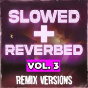 Slowed + Reverbed Remix Versions, Vol. 3