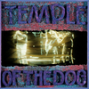 Temple of the Dog - All Night Thing