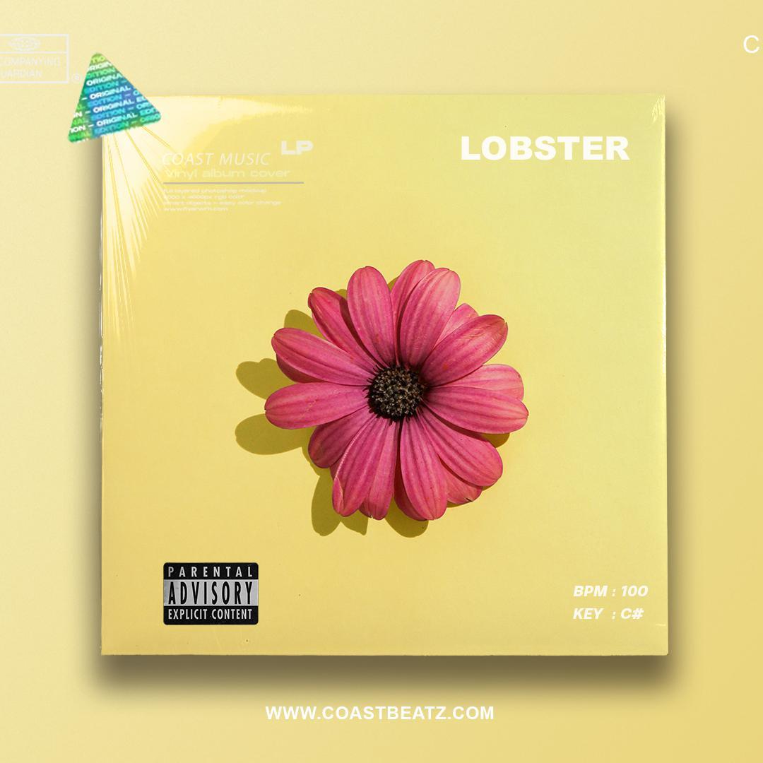 Guitar x Camila Cabello Type Beat "LOBSTER"