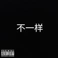 不一样