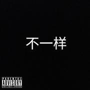 不一样