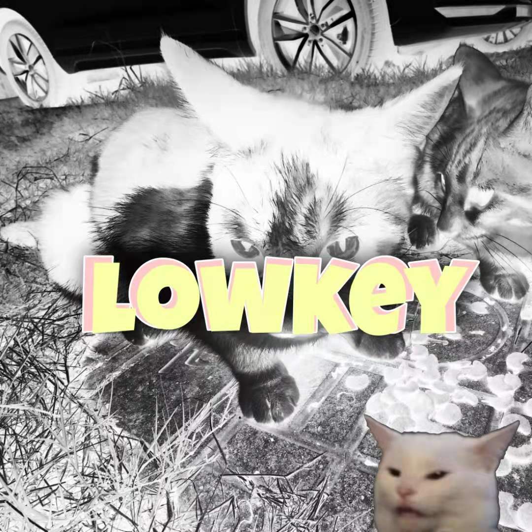 阿迪D.I - lowkey