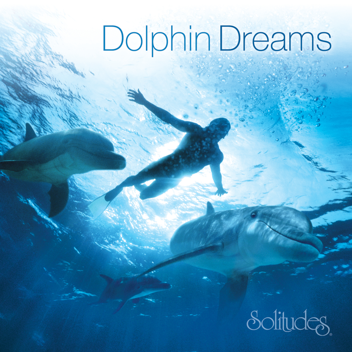 Dolphin Dreams