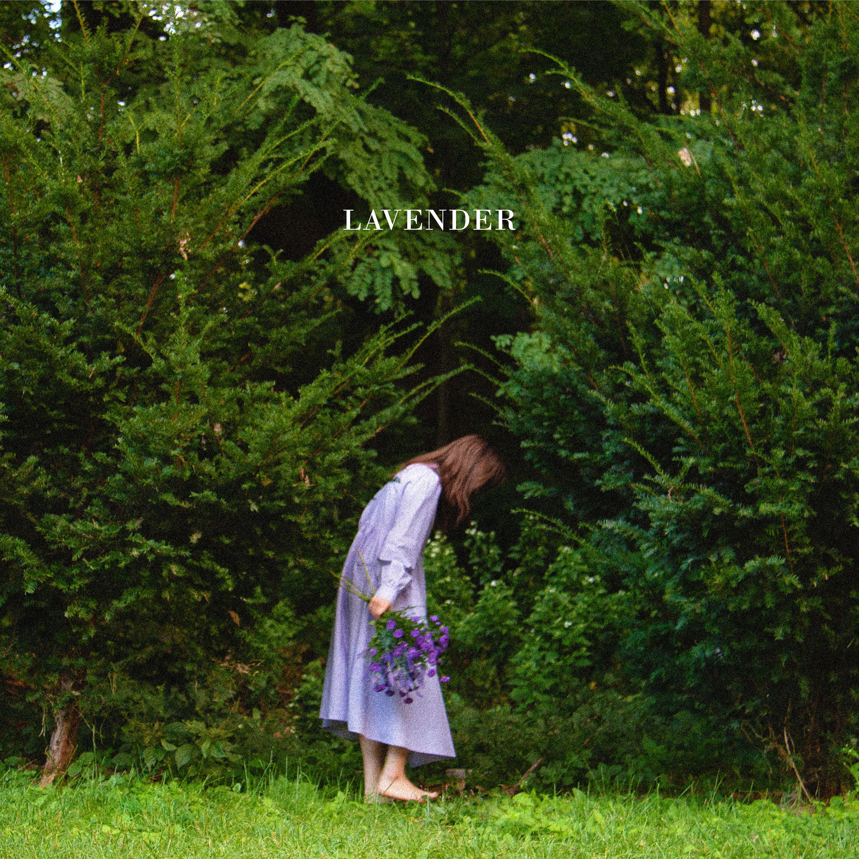 Lavender
