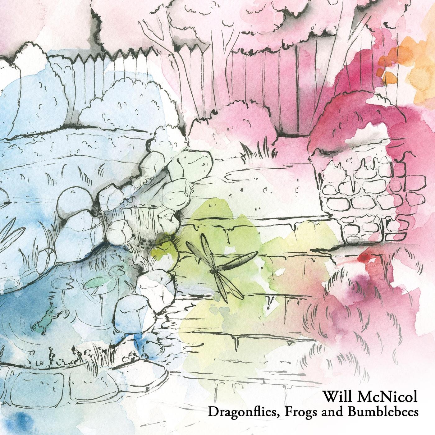 Dragonflies, Frogs and Bumblebees