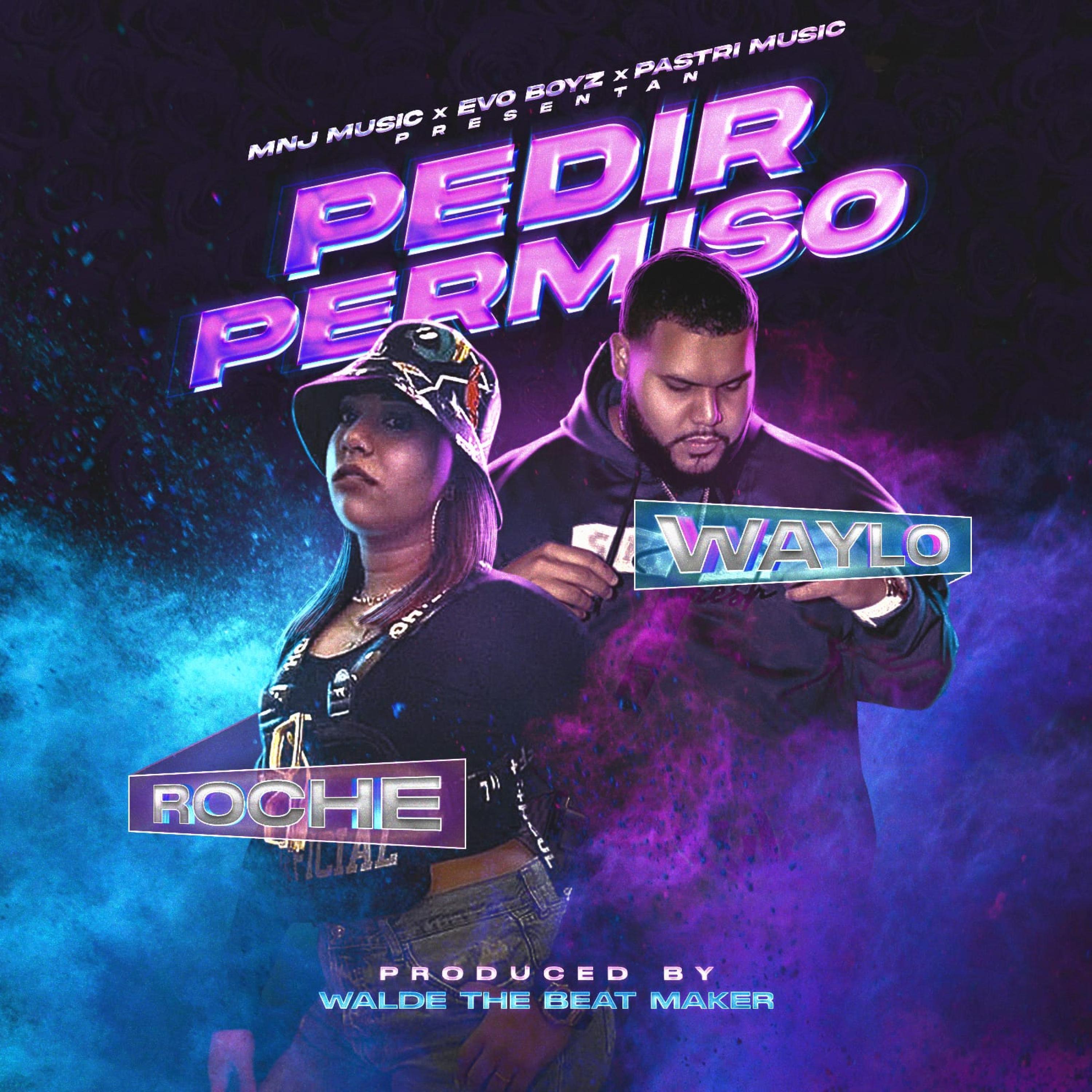 Pedir Permiso (feat. Roche Cuevas)