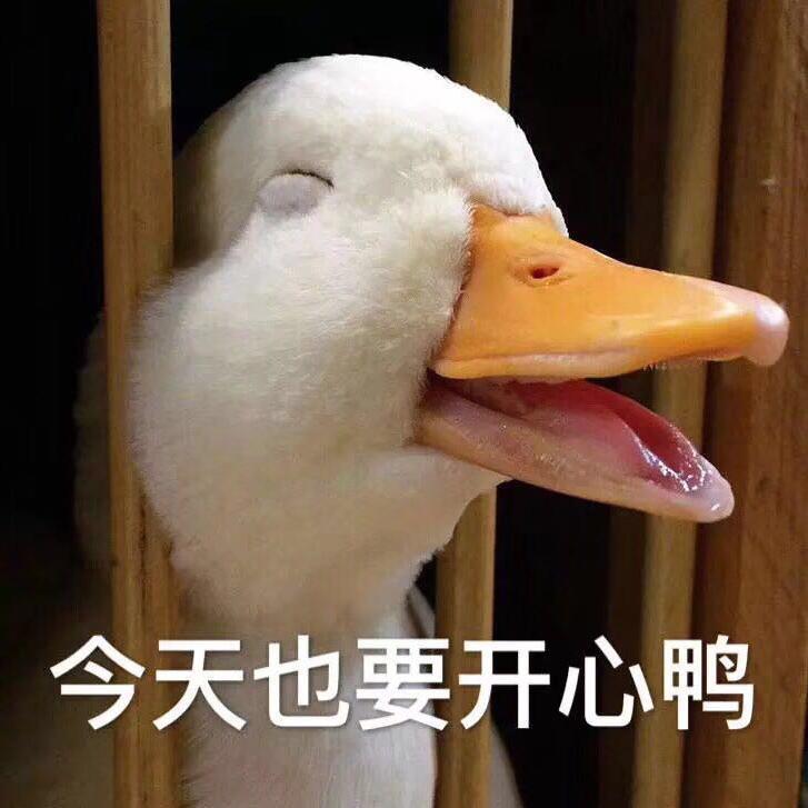 叁贰壹专辑