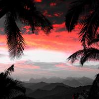 7ccot - 尼古丁余烬