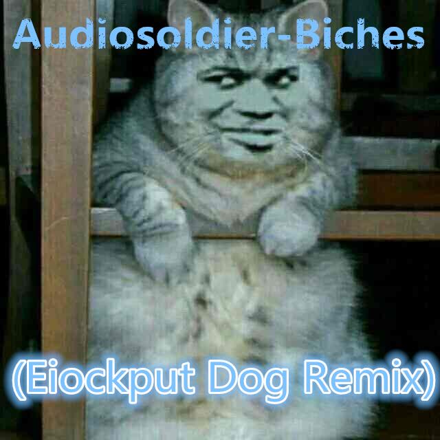 Audiosoldier-Biches(Eiockput Dog Remix)