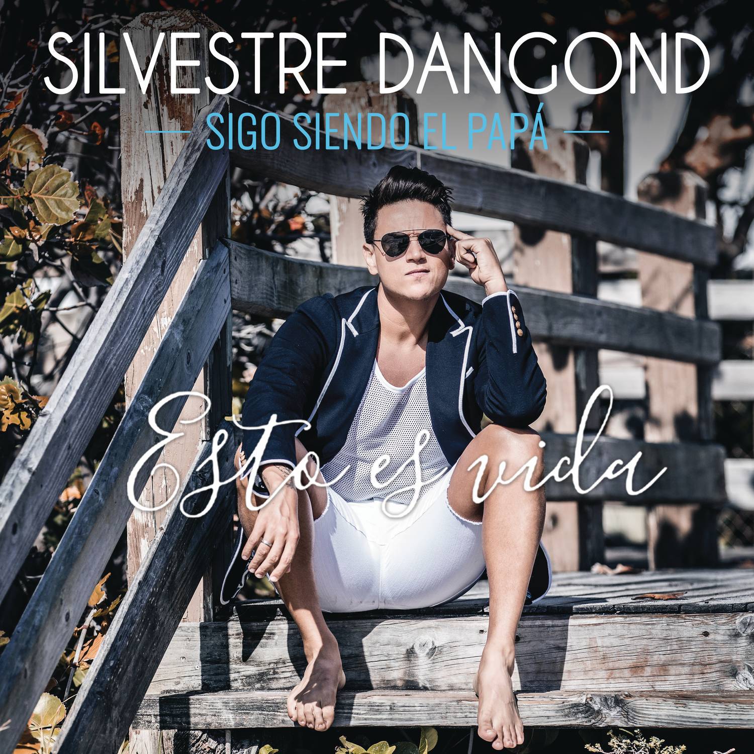 Silvestre Dangond - Sigo Siendo el Papá