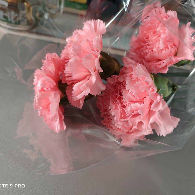 七八十年代金曲 | 在线播放 | 网易云音乐