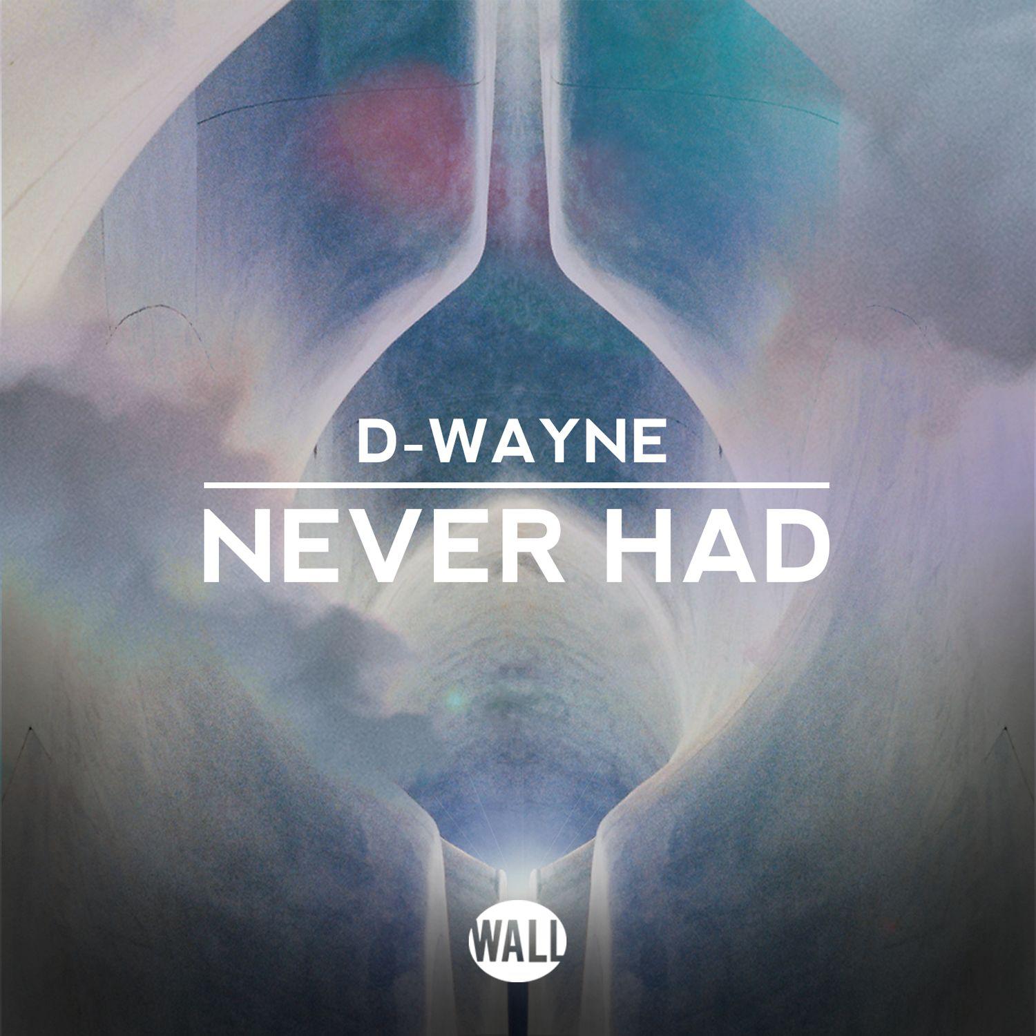 D-Wayne - Never Had (Extended Mix)