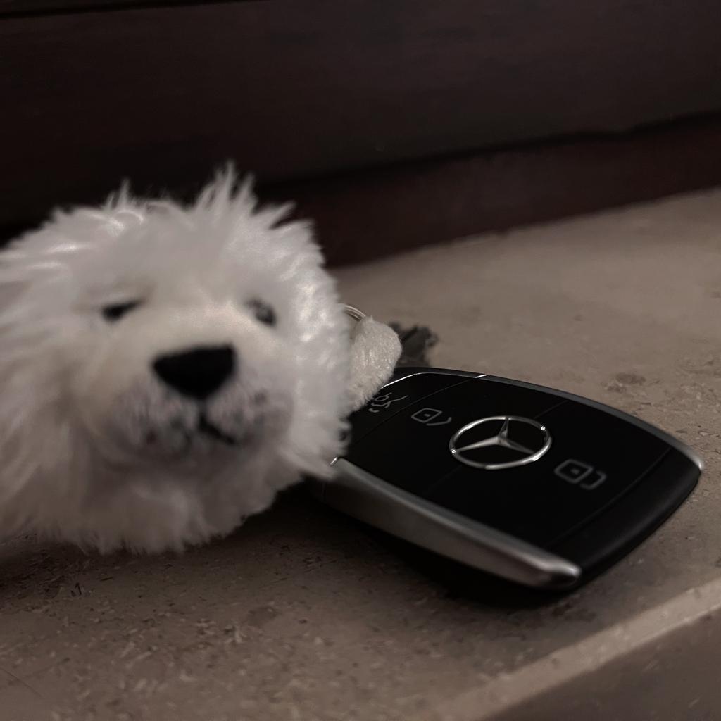 【车载歌单】开车必听的氛围感好歌 | 在线播放 | 网易云音乐