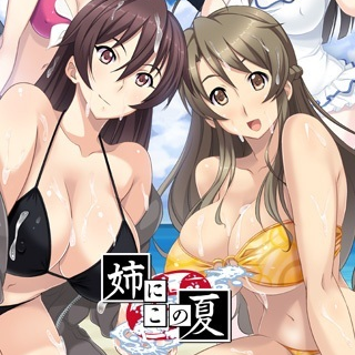 姉にこの夏 サントラCD