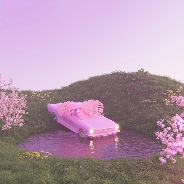 不要浪費我的愛
