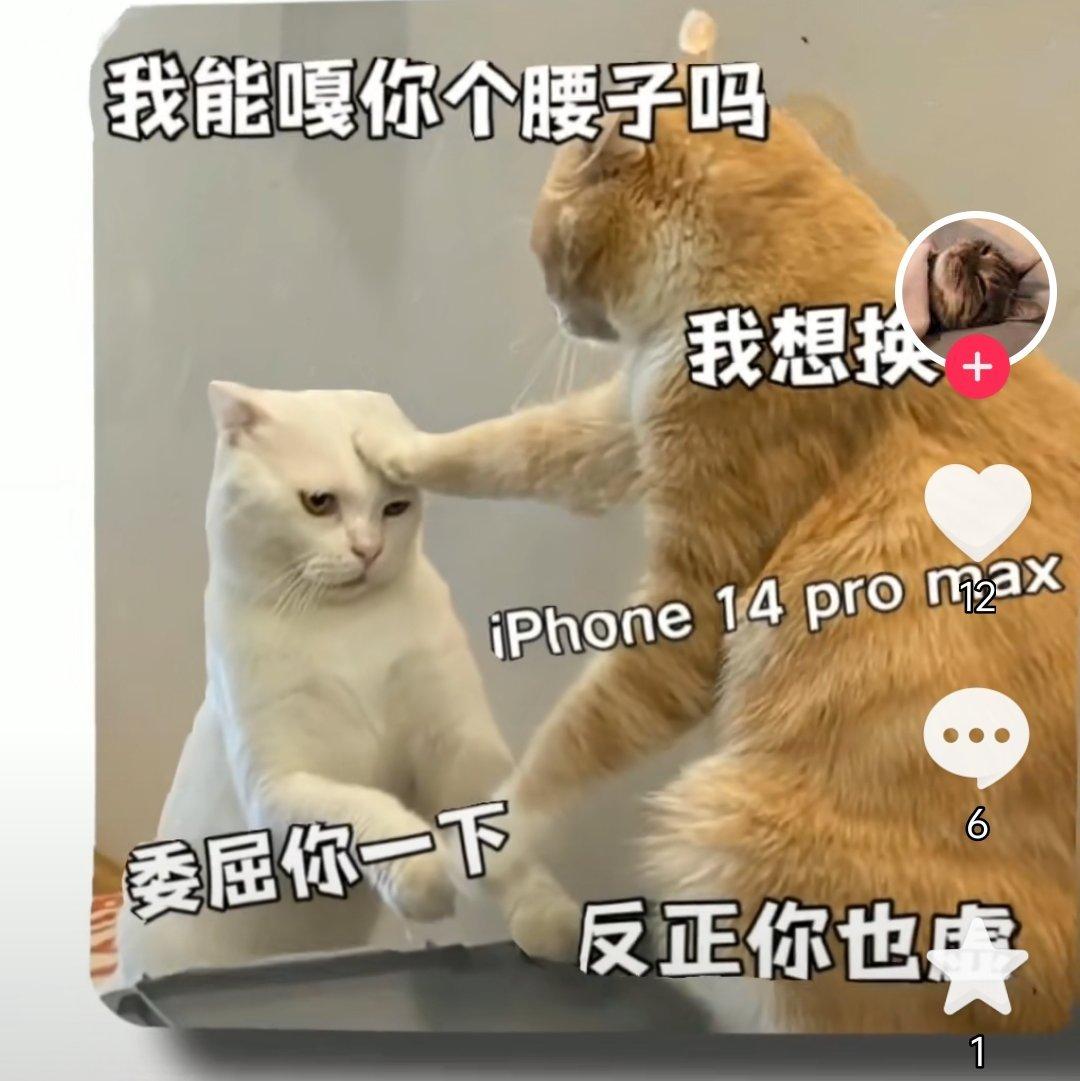 此面筋从陕西而来