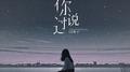 你说过专辑