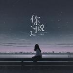 你说过专辑