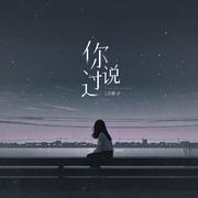 你说过