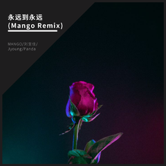 永远到永远(Mango Remix)