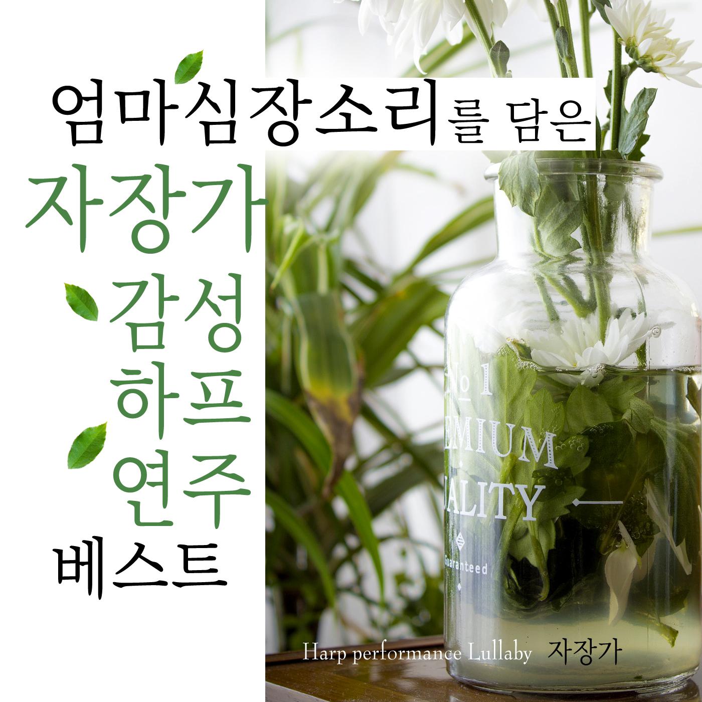 엄마 심장소리를 담은 자장가 감성 하프 연주 베스트专辑