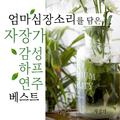 엄마 심장소리를 담은 자장가 감성 하프 연주 베스트