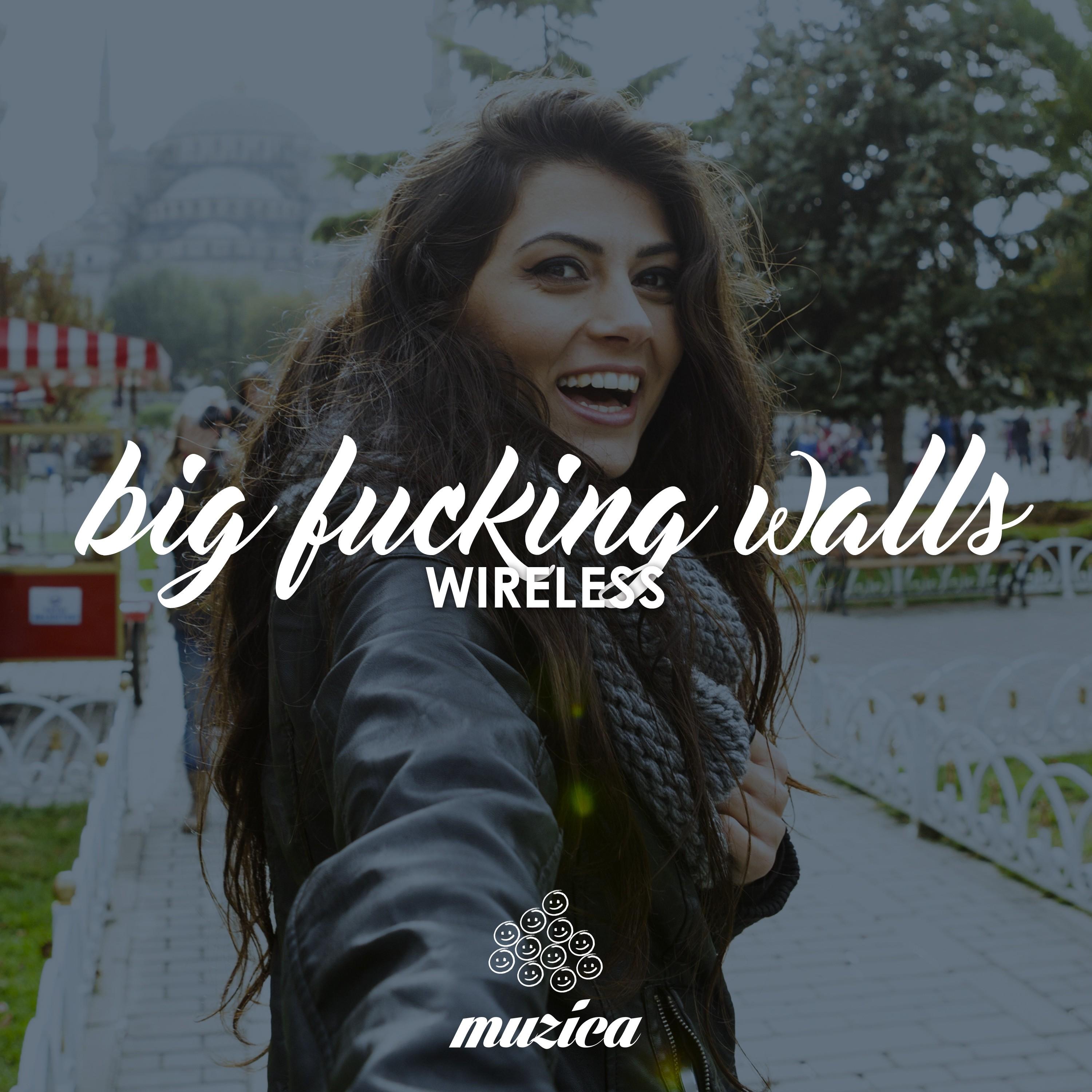 Big ****ing Walls