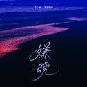 嫌晚专辑