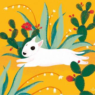 Olive’s Songs【早安/晚安曲】