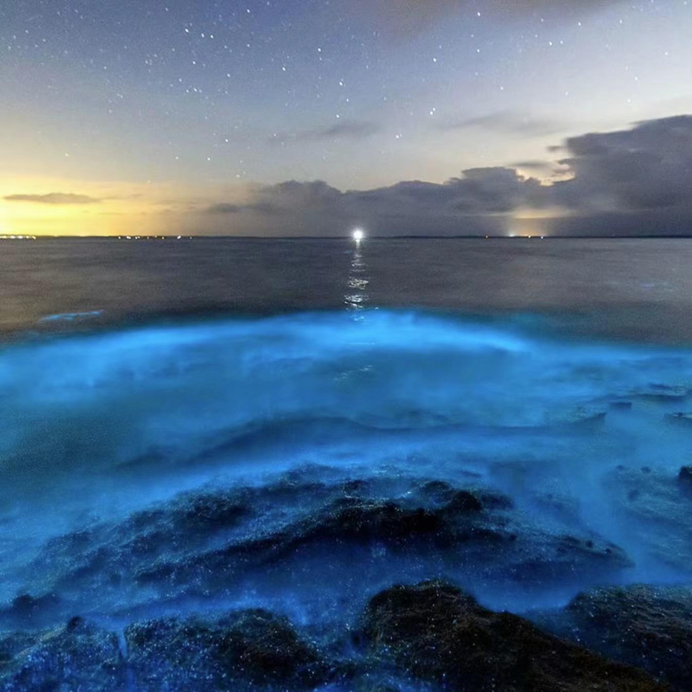 Starlight