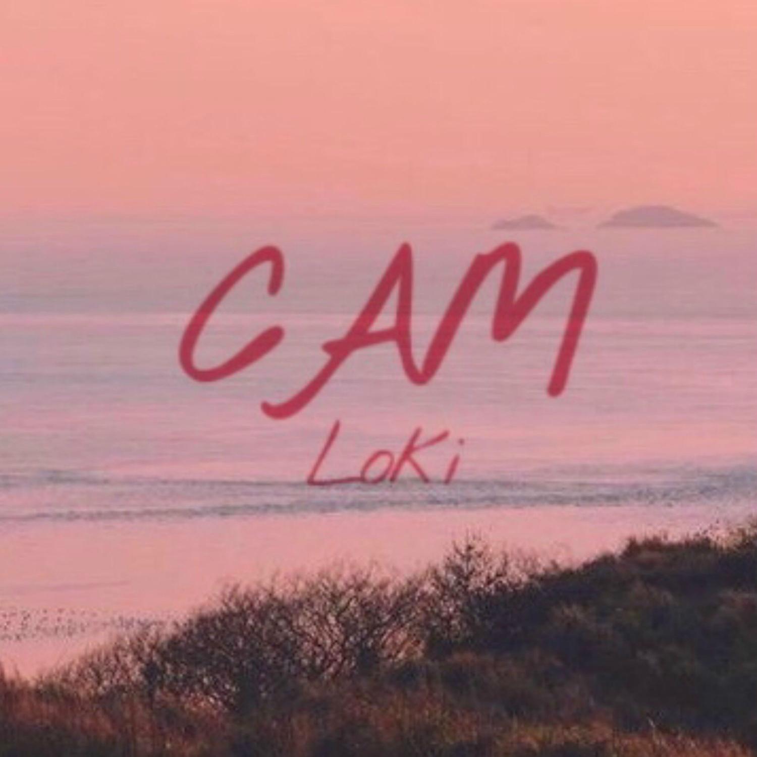 Loki - Cảm