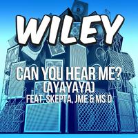 Wiley、Skepta、JME - Can You Hear Me