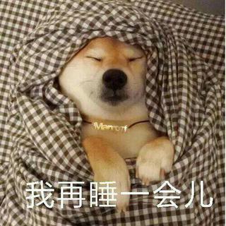 [春困必备]叫醒你的不是梦想 是铃声