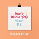 Don't Know You (DallasK Remix)专辑