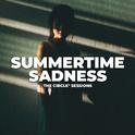 Summer Time Sadness by The Circle Sessions专辑